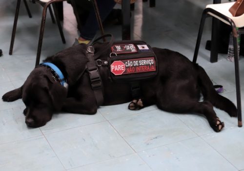 Uma jornada de descoberta e realização na Terapia Ocupacional