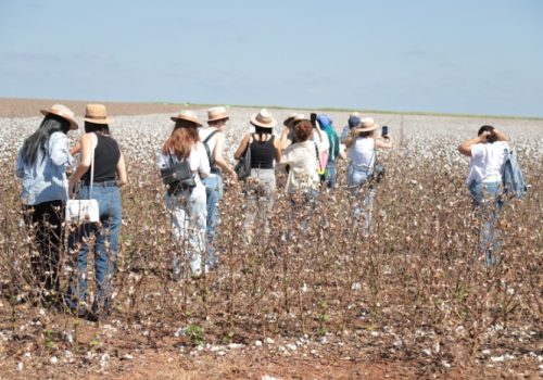 Turismo: embarque na carreira dos seus sonhos